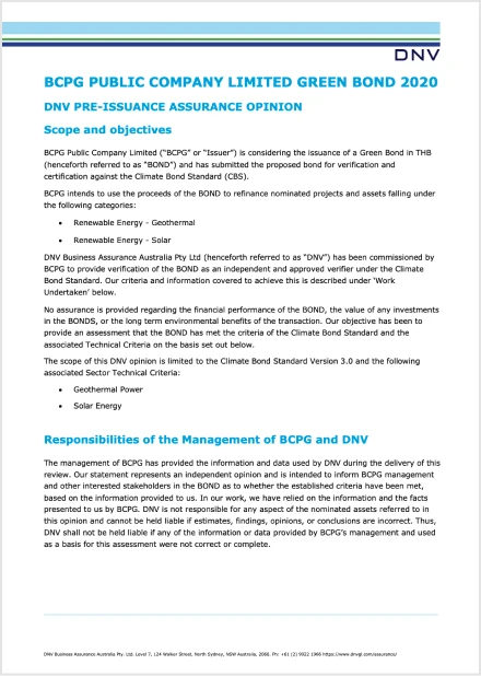 External Review Report (Pre-Issuance Assurance Report)