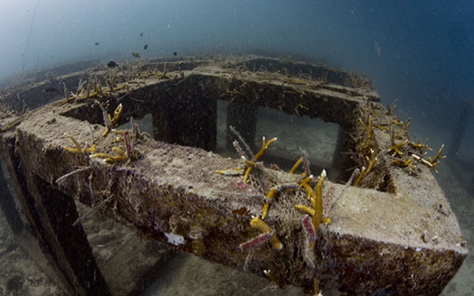 Episode 4 Eclectic Origins of Artificial Reefs