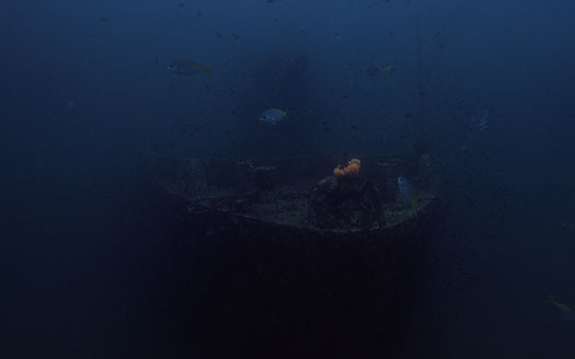 Episode 5 Artificial Reefs from Decommissioned Battleships